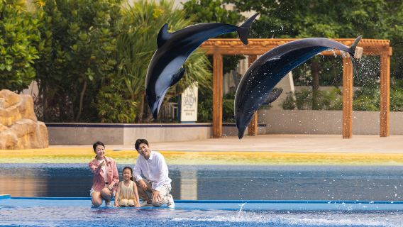 Atlantis Sanya Dolphin Cay