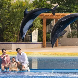 Atlantis Sanya Dolphin Cay