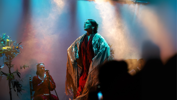 Flamenco City Hall Theatre - Barcelona