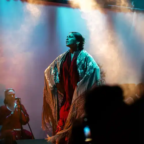 Flamenco City Hall Theatre - Barcelona