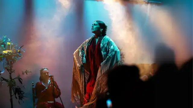 Flamenco City Hall Theatre - Barcelona