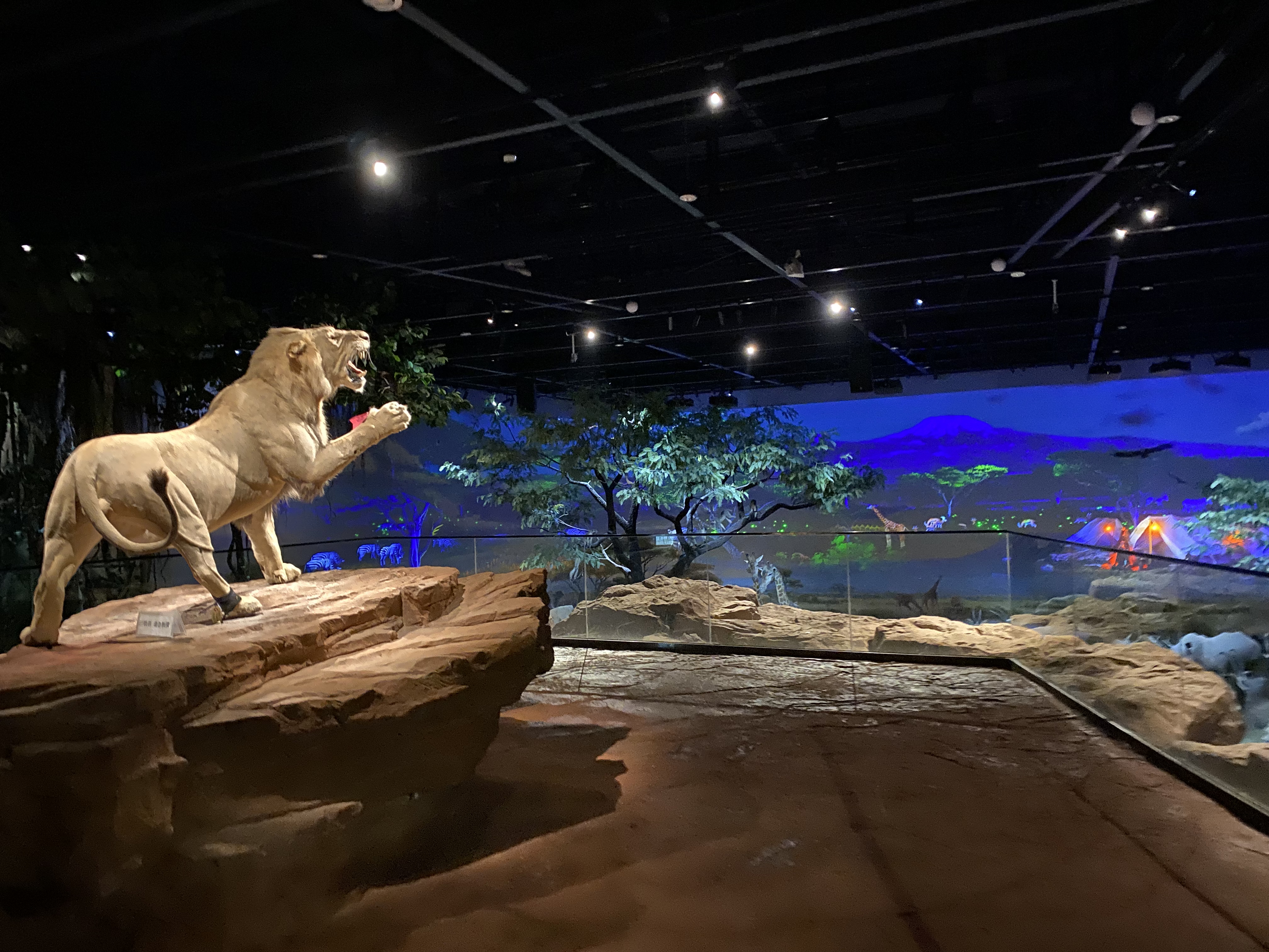 Kangbashi Natural Museum