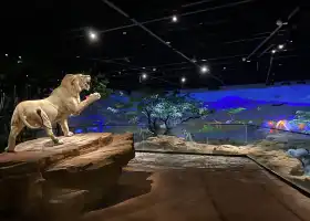 康巴什自然博物馆