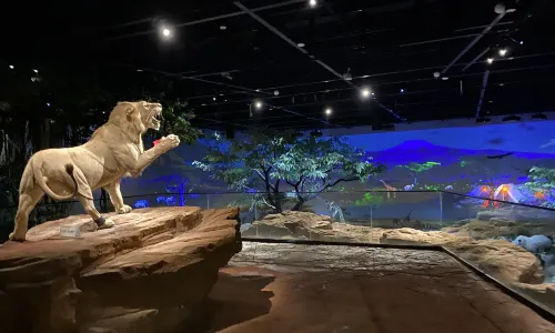 Kangbashi Natural Museum