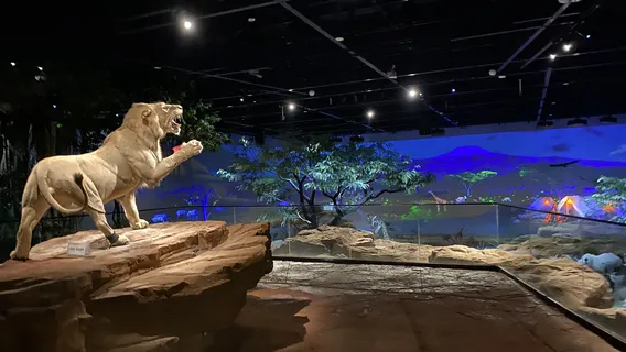 Kangbashi Natural Museum