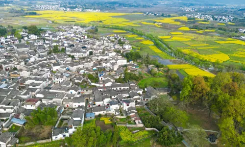 Xidi