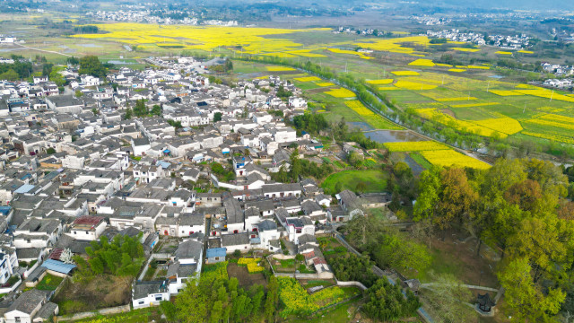 Xidi