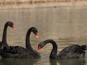 Lanzhou Wildlife Park