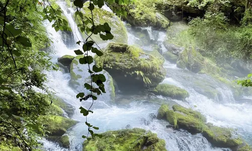 Fragrance River