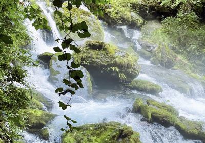 Source of Fragrant River