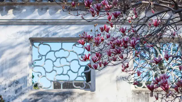 Hôtels à proximité de : Wangshi Garden