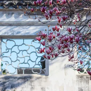Master-of-Nets Garden(Wangshi Garden)