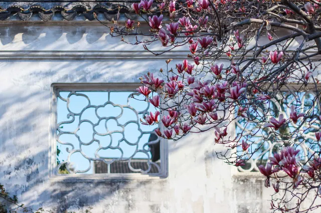 Master-of-Nets Garden in Suzhou with pavilions around the pond