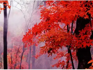 Fenghuangshan National Geopark
