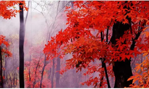 Fenghuangshan National Geopark