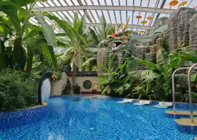 龍騰溫泉度假村