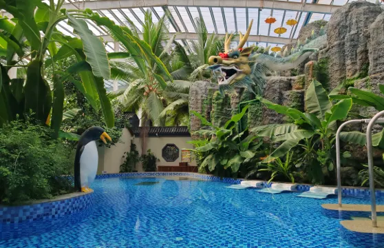 龍騰溫泉度假村龍騰溫泉門票成人