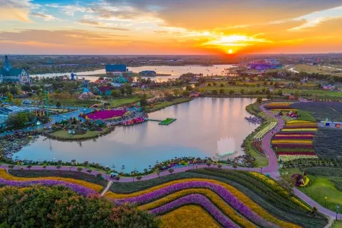 Holland Flower Park