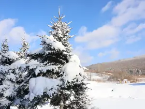 위호산 국가 삼림공원