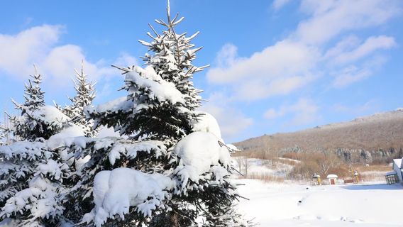 Weihu Mountain National Forest Park