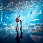 The Lost Chambers Aquarium