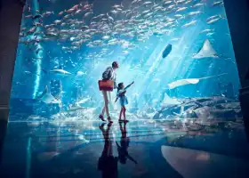 The Lost Chambers Aquarium