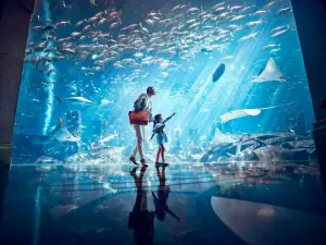 The Lost Chambers Aquarium