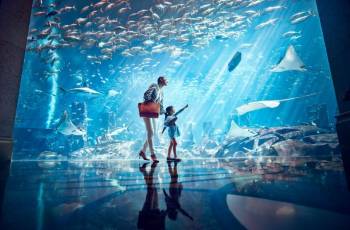 Top 15 Family-friendly Attractions in Dubai