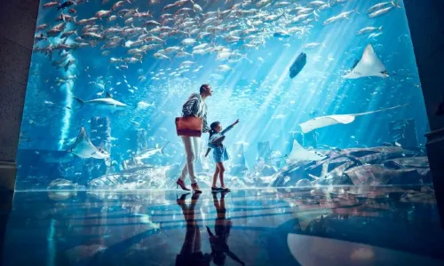 The Lost Chambers Aquarium