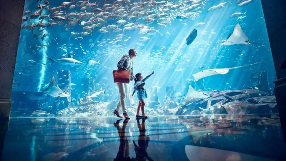 The Lost Chambers Aquarium