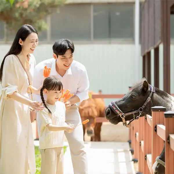 Hotels near Anseong Farmland