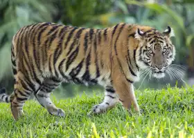 Zoo Miami