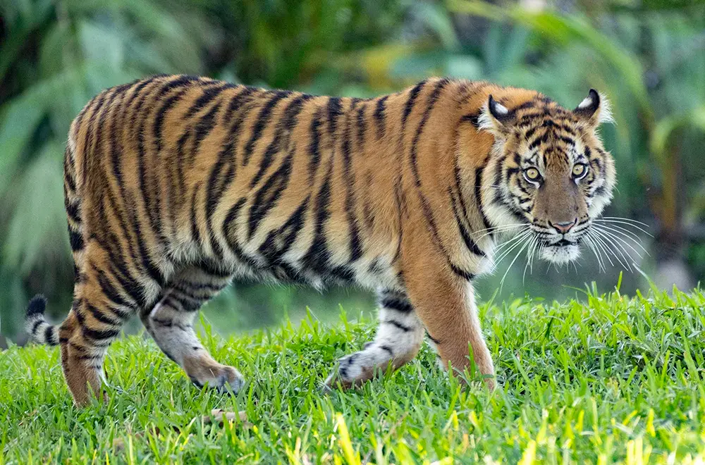 3_Zoo Miami