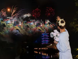 Nianhua Wan