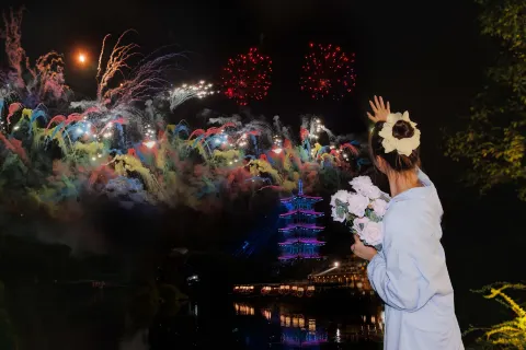 Nianhua Wan