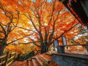 光霧山旅遊景區
