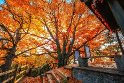 Guangwu Mountain Tourist Area