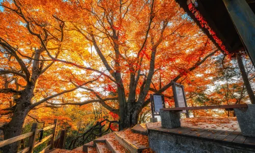 光霧山旅遊景區