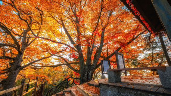 Guangwu Mountain Tourist Area
