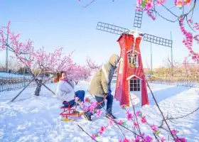 南宮冰雪奇幻小鎮