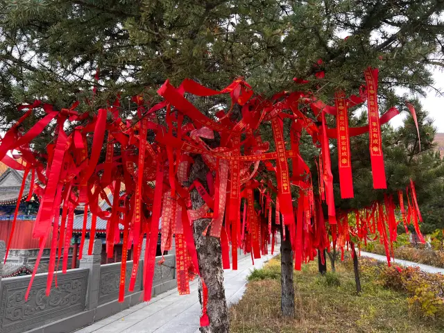 Buddhist Culture Experiences in Xinzhou