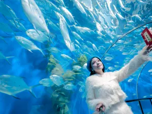 Shanghai Ocean Aquarium