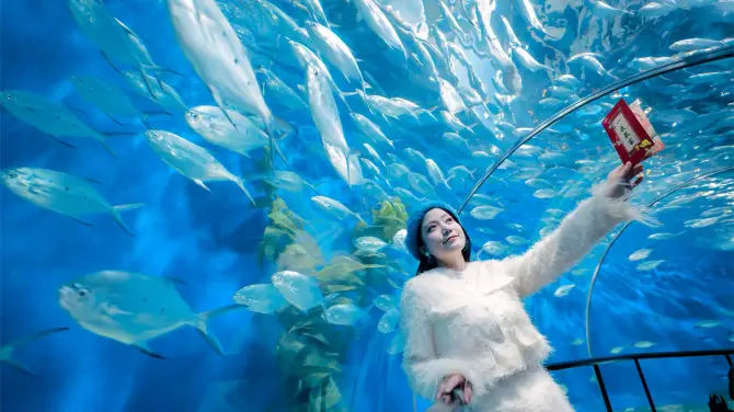 3_上海海洋水族館