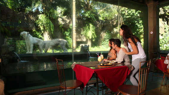 Indonesia Safari Park II Prigen