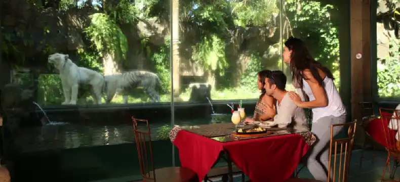 باسوروان