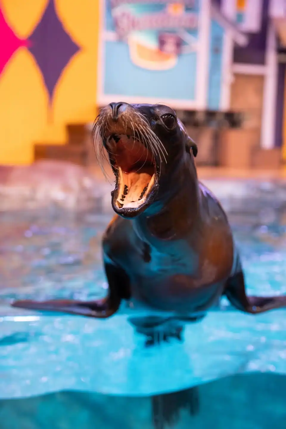 2_Georgia Aquarium