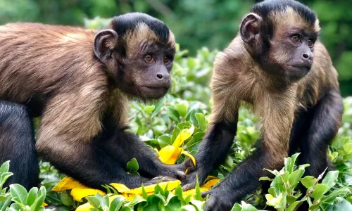 柳岸野生動物保護區