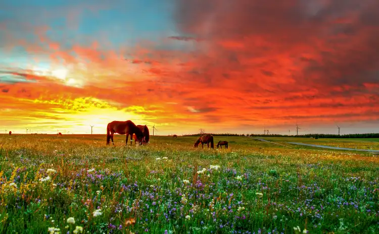 Hotels in Huitengxile Grassland