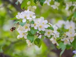 Jiuru Mountain Waterfall Scenic Area