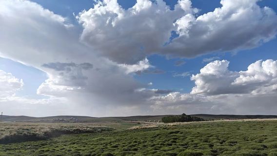Xilamuren Grassland Folk Culture Tourist Service Center Horse Farm